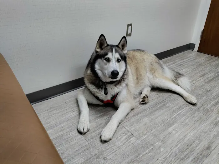 Southwest Veterinary Medical Center Picture 5