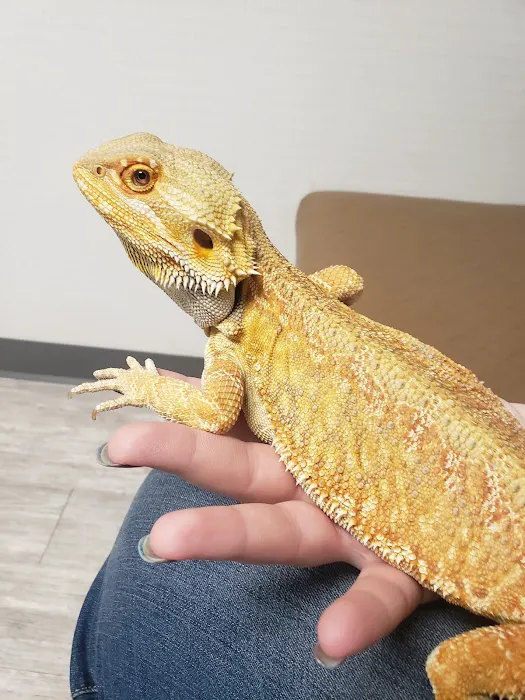 Southwest Veterinary Medical Center Picture 9