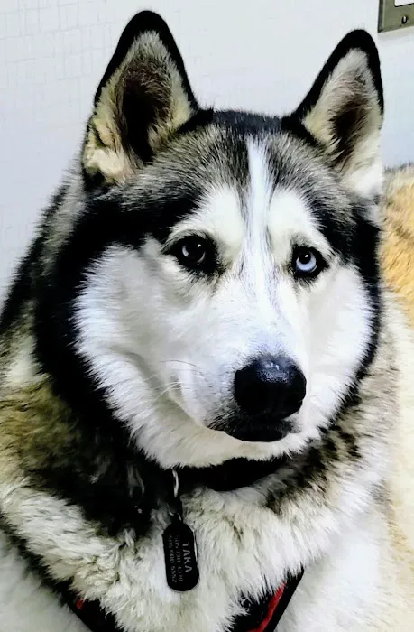 Southwest Veterinary Medical Center Picture 8