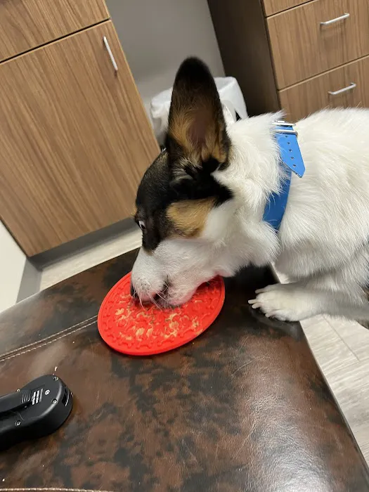 Southwest Veterinary Medical Center Picture 10