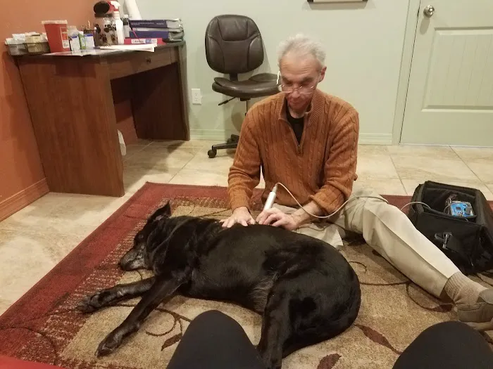 Animal Acupuncture Westside Picture 9