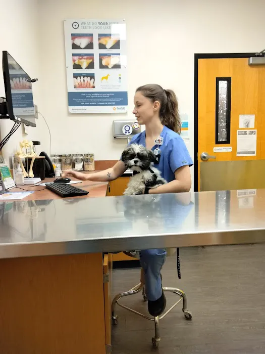 Banfield Pet Hospital Picture 9