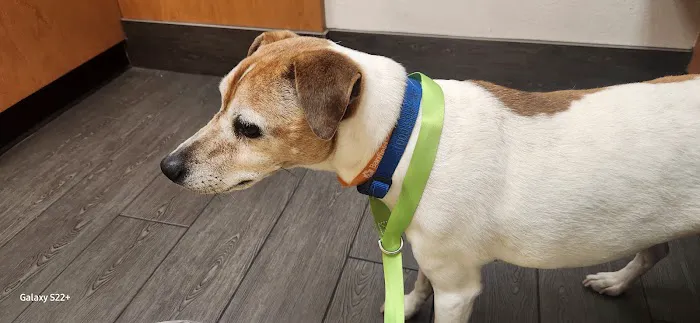 Banfield Pet Hospital Picture 6