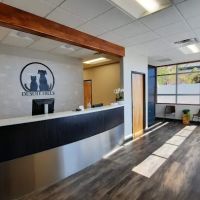 Desert Hills Animal Clinic ico