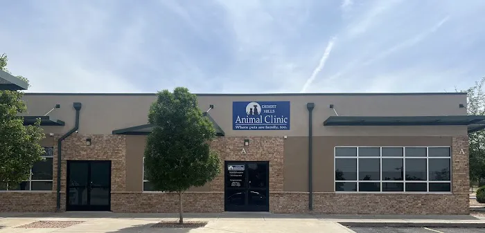 Desert Hills Animal Clinic Picture 7