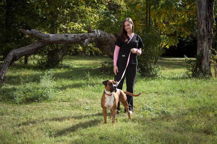 Vickery Place Animal Hospital Picture 2