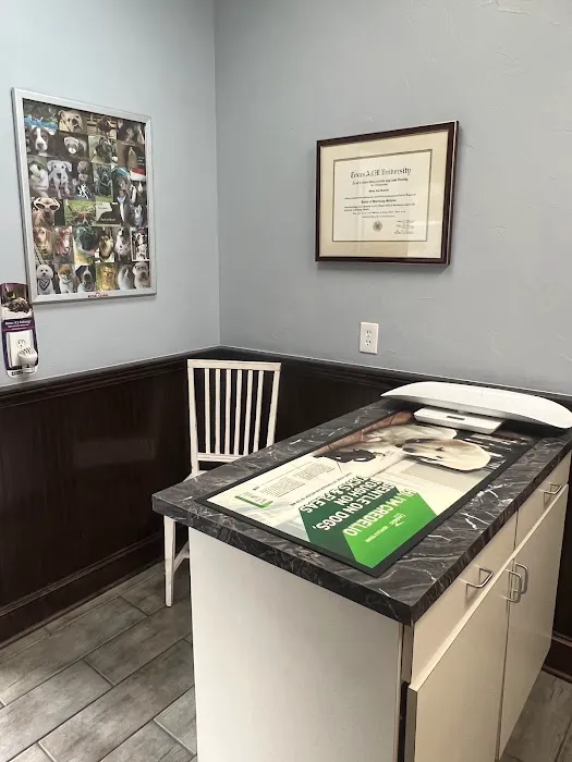 Vickery Place Animal Hospital Picture 5