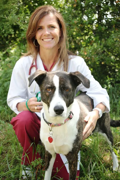 Vickery Place Animal Hospital Picture 7