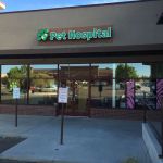 4 Paws Pet Hospital, A Thrive Pet Healthcare Partner