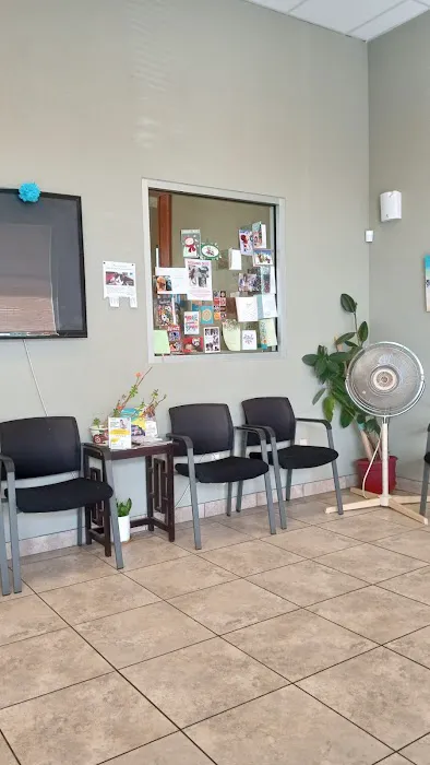 4 Paws Pet Hospital, A Thrive Pet Healthcare Partner Picture 3