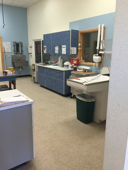 4 Paws Pet Hospital, A Thrive Pet Healthcare Partner Picture 4