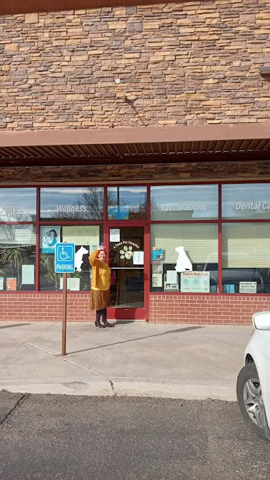 4 Paws Pet Hospital, A Thrive Pet Healthcare Partner Picture 9