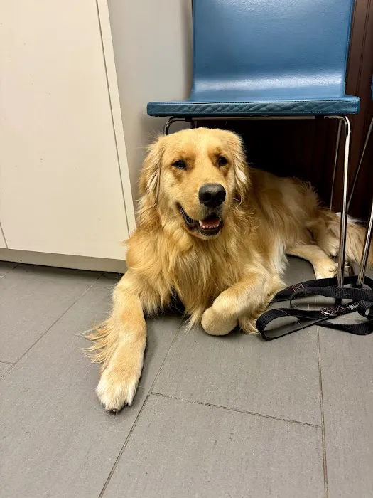 Highland Park Animal Hospital Picture 2