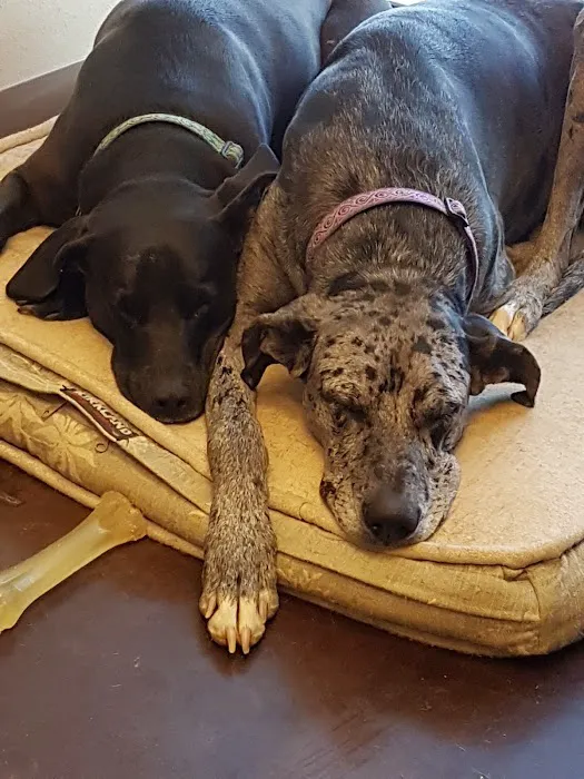La Cueva Animal Hospital Picture 4