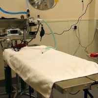 SPCA of Texas' Myron K. Martin Spay/Neuter & Wellness Clinic ico