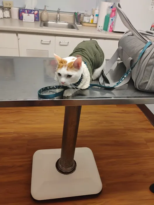 Edgefield Animal Clinic Picture 1