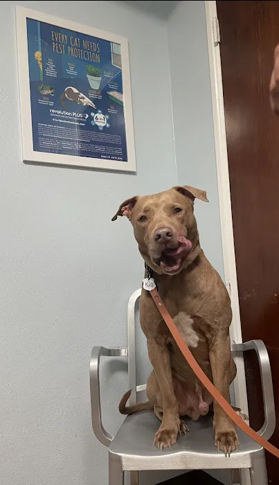 Edgefield Animal Clinic Picture 4