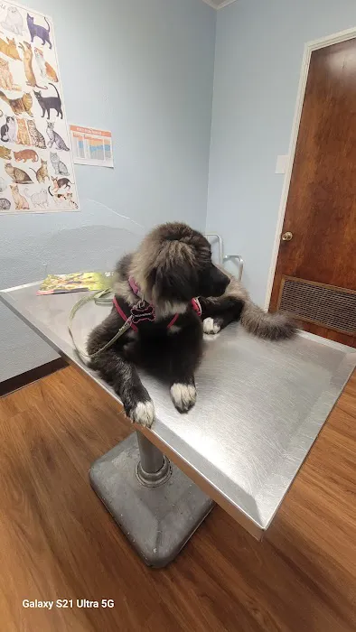 Edgefield Animal Clinic Picture 6