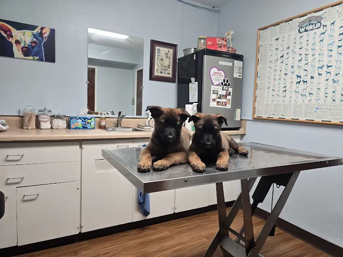 Edgefield Animal Clinic Picture 10