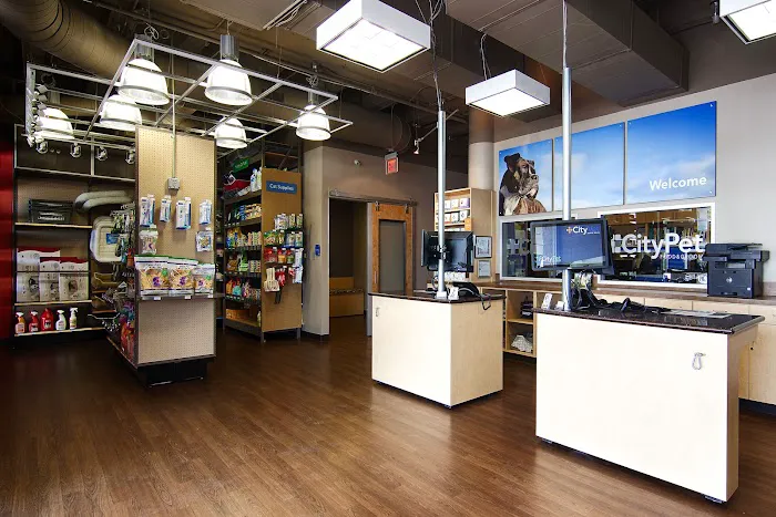 CityVet | White Rock Veterinary Clinic & Urgent Care Picture 1