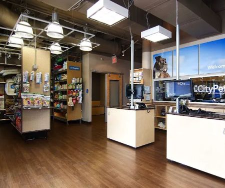 CityVet | White Rock Veterinary Clinic & Urgent Care