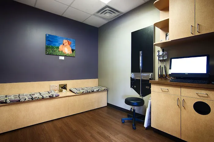 CityVet | White Rock Veterinary Clinic & Urgent Care Picture 10