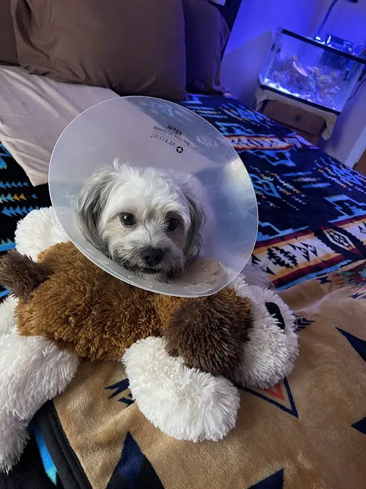 Banfield Pet Hospital Picture 1