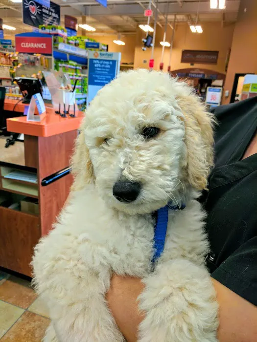Banfield Pet Hospital Picture 5