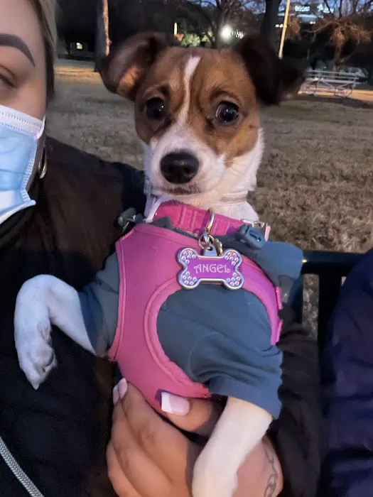 Banfield Pet Hospital Picture 8