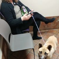 Baker Stephanie DVM ico