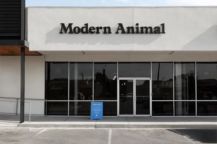 Modern Animal Picture 10