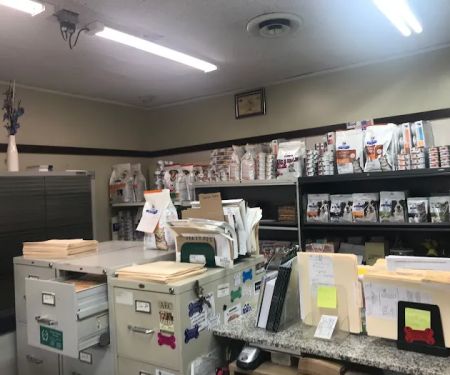 Northwest Animal Clinic