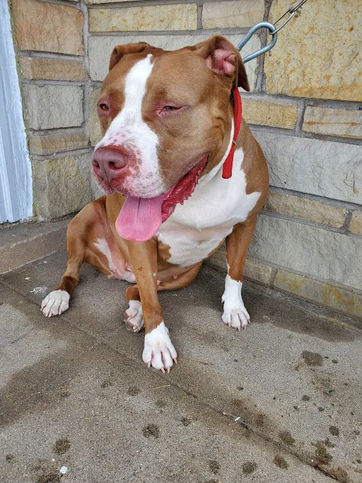 Northwest Animal Clinic Picture 5