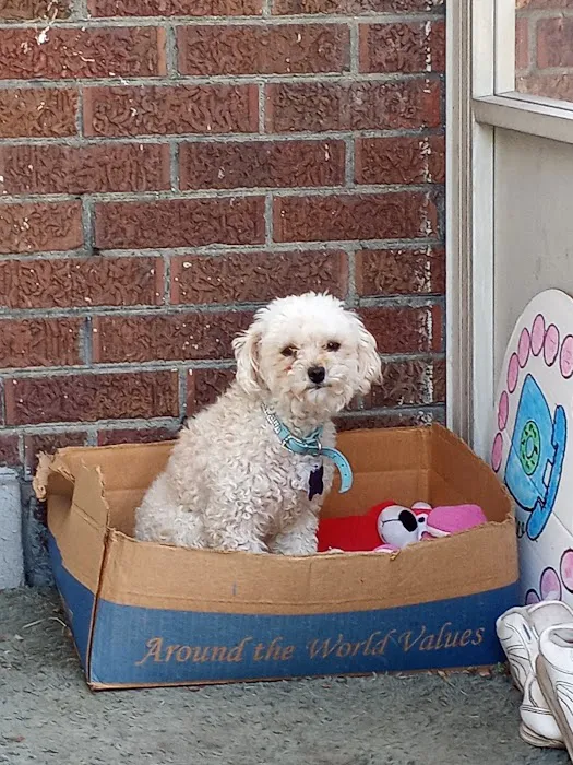 Northwest Animal Clinic Picture 6