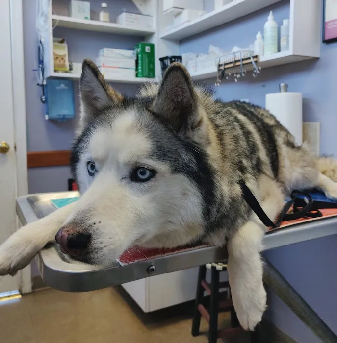 West Woodward Animal Hospital Picture 1