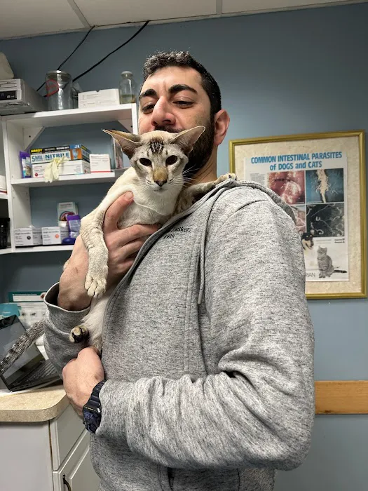 West Woodward Animal Hospital Picture 3