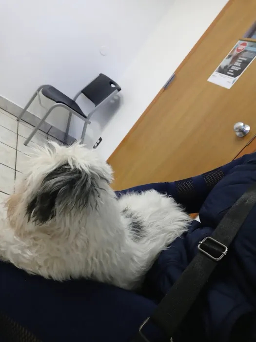 Eastside Veterinary Hospital Picture 1