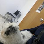 Eastside Veterinary Hospital