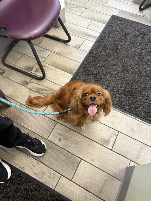 Hilton Veterinary Clinic of Ferndale Picture 3