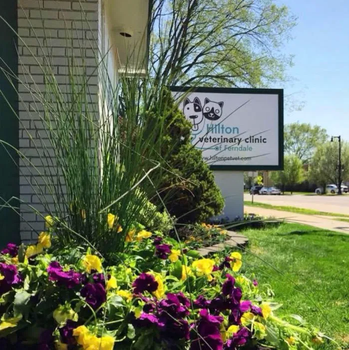 Hilton Veterinary Clinic of Ferndale Picture 2