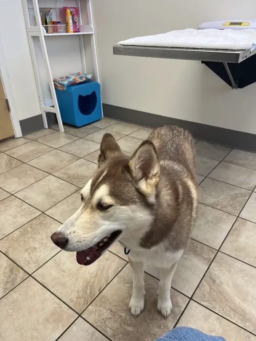 Hilton Veterinary Clinic of Ferndale Picture 6