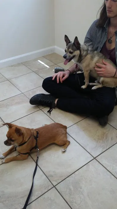 Hilton Veterinary Clinic of Ferndale Picture 10