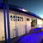 Animal Clinic East