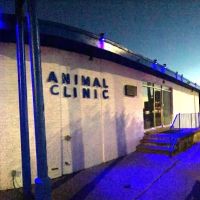 Animal Clinic East ico