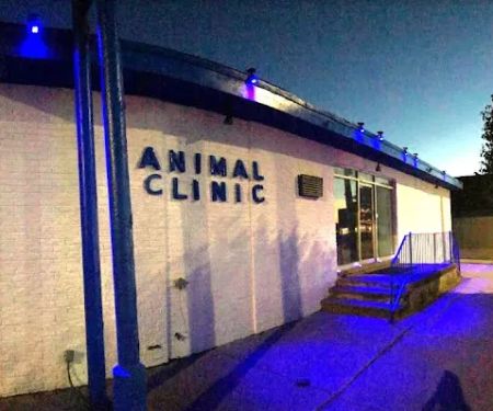 Animal Clinic East