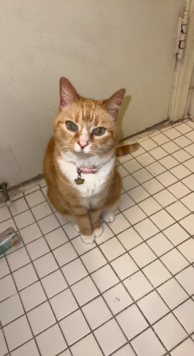 Parkview Animal Hospital Picture 4