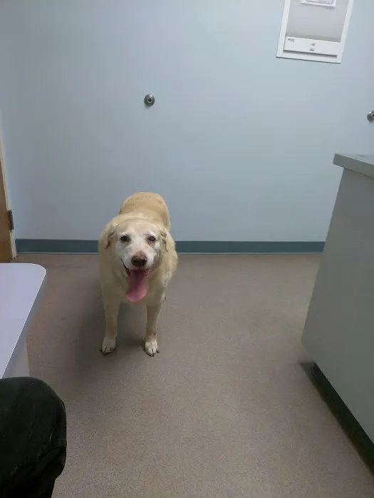 Parkview Animal Hospital Picture 5