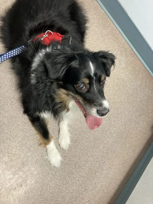 Parkview Animal Hospital Picture 7