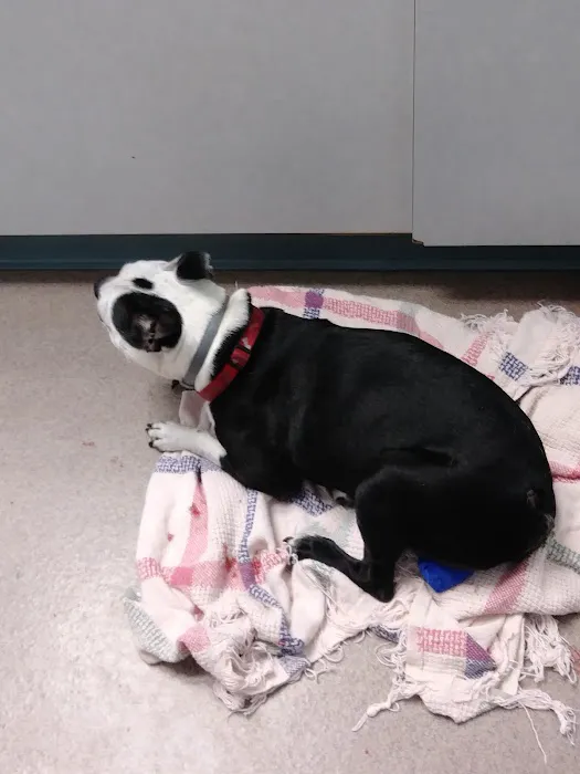 Parkview Animal Hospital Picture 9
