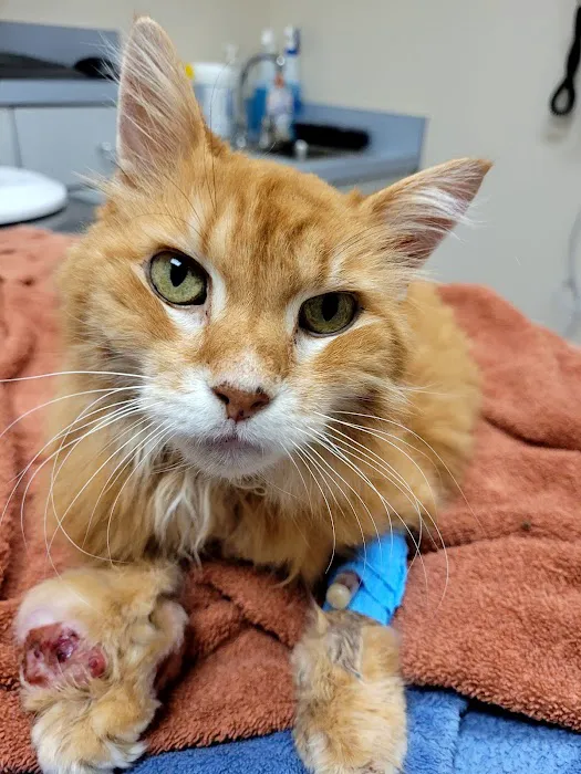 Parkview Animal Hospital Picture 8